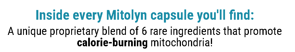 cabecalho 6 ingredientes